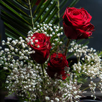 Wild Roses (7761463673069)